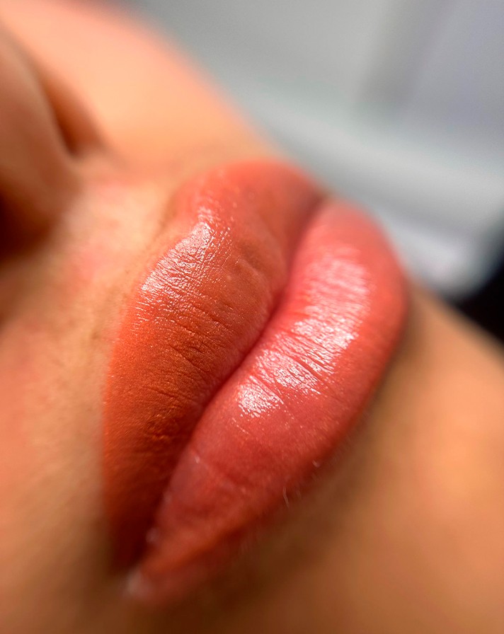 Resultados de Micropigmentación para Cejas, Pestañas y Labios