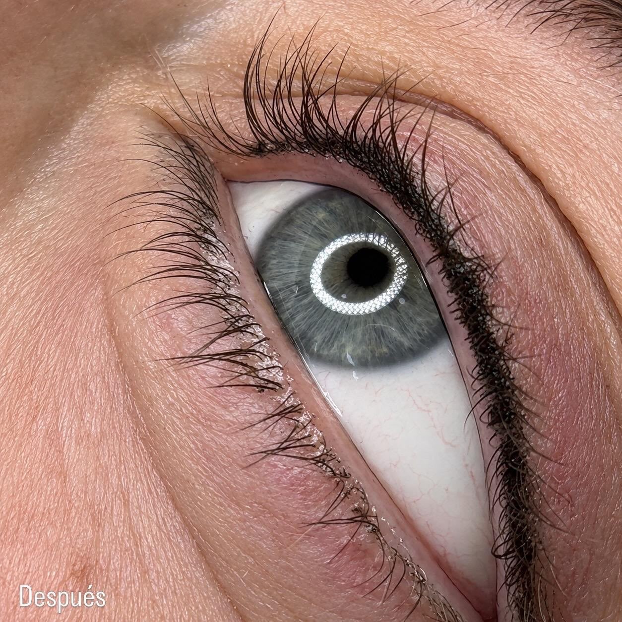 Resultados de Micropigmentación para Cejas, Pestañas y Labios
